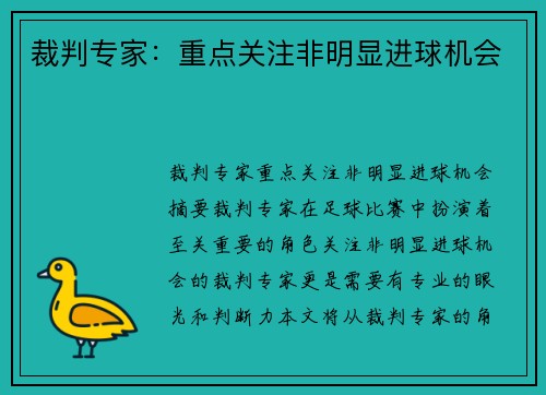 裁判专家:重点关注非明显进球机会 裁判专家:重点关注非明显进球机会